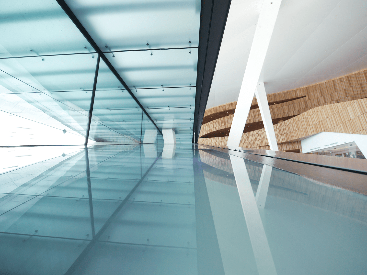 autor: Marlena Kluczyńska-Czernik