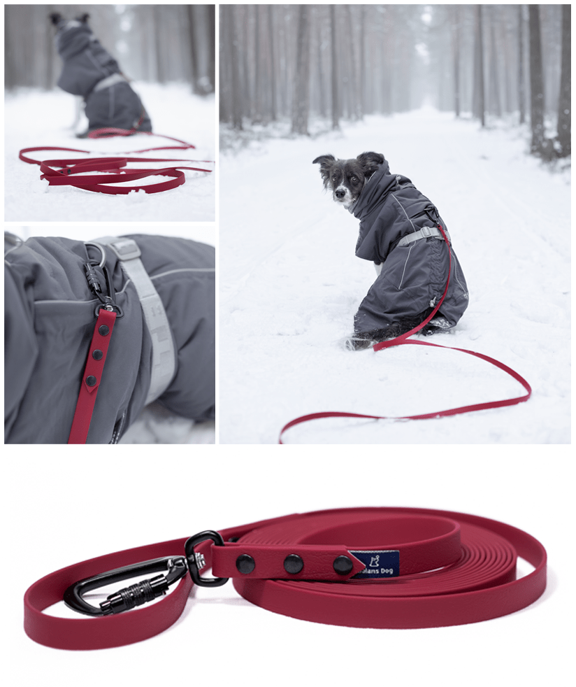 linka treningowa dla psa w kolorze wina, detal, zbliżenie oraz cały widok z psem w zaśnieżonym lesie.